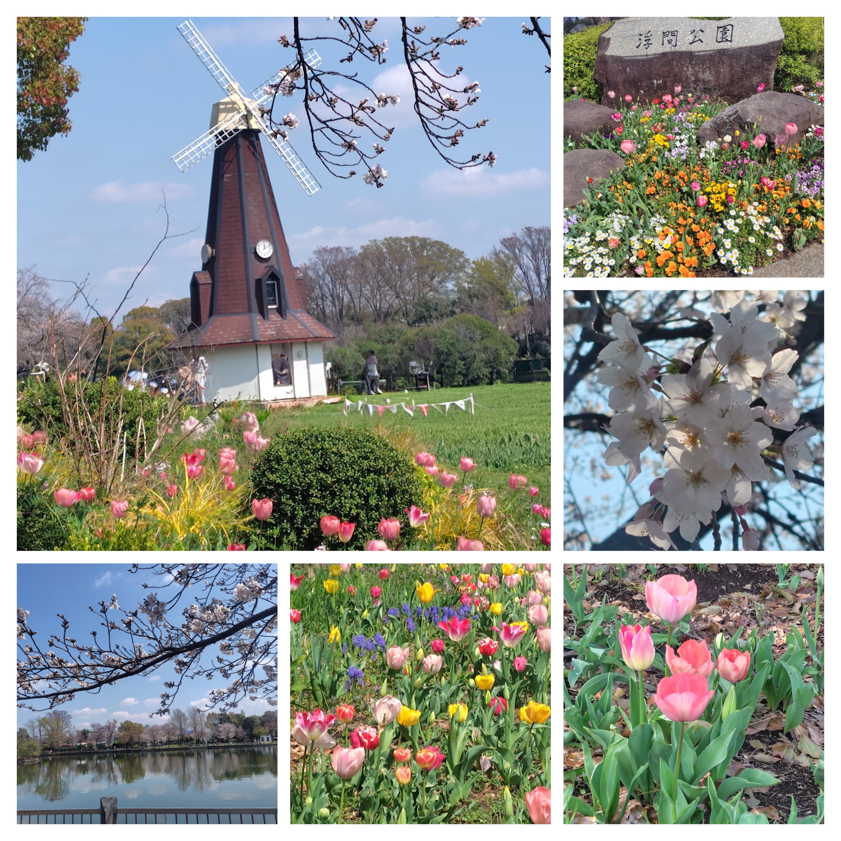 都立　浮間公園